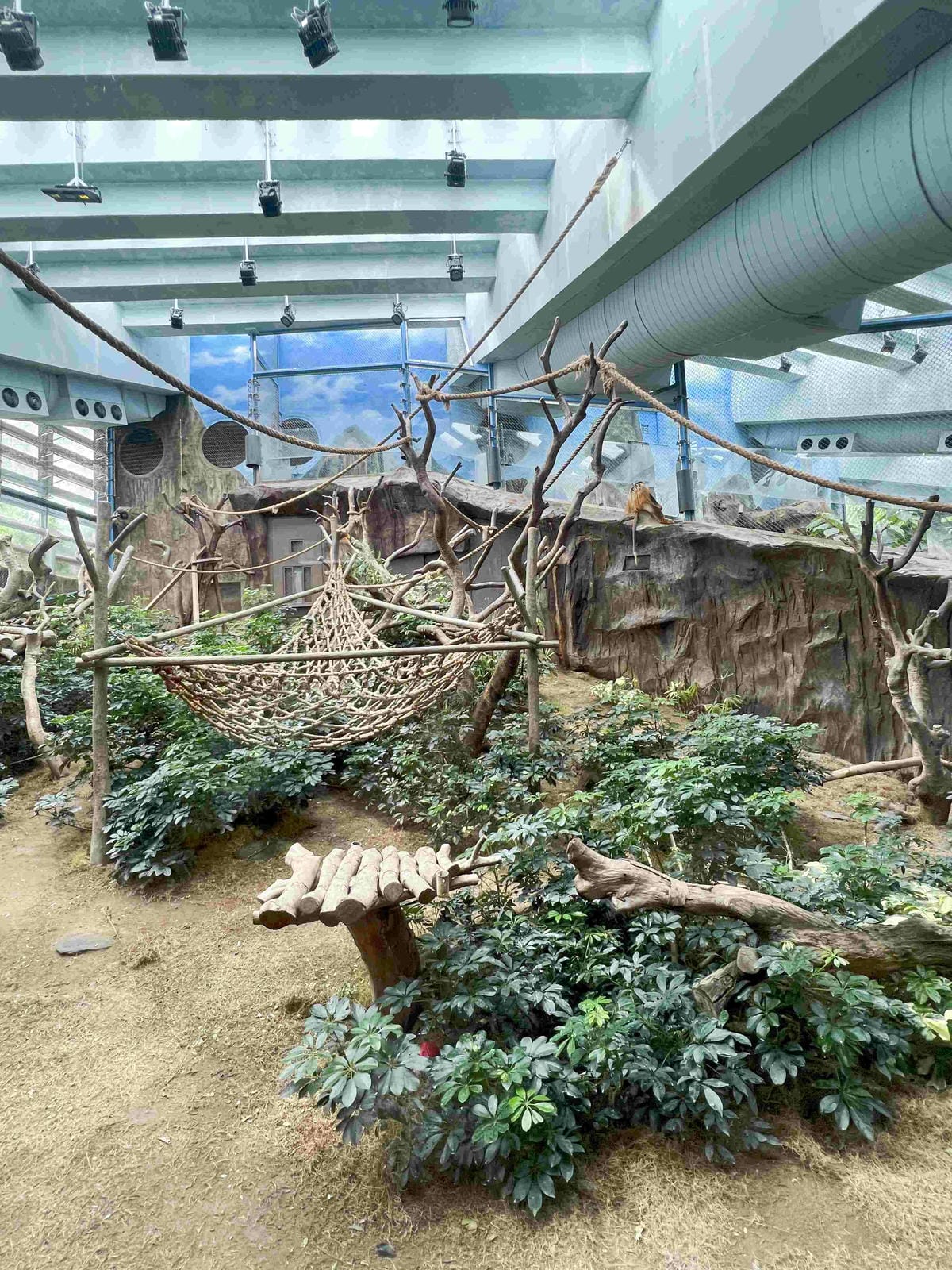 香港海洋公園 (64).jpg 香港海洋公園 (64).jpg