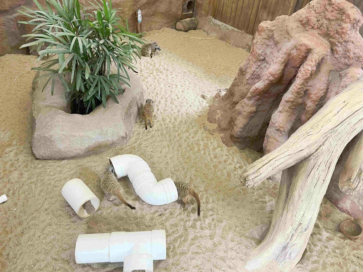 香港海洋公園 (107).jpg 香港海洋公園 (107).jpg