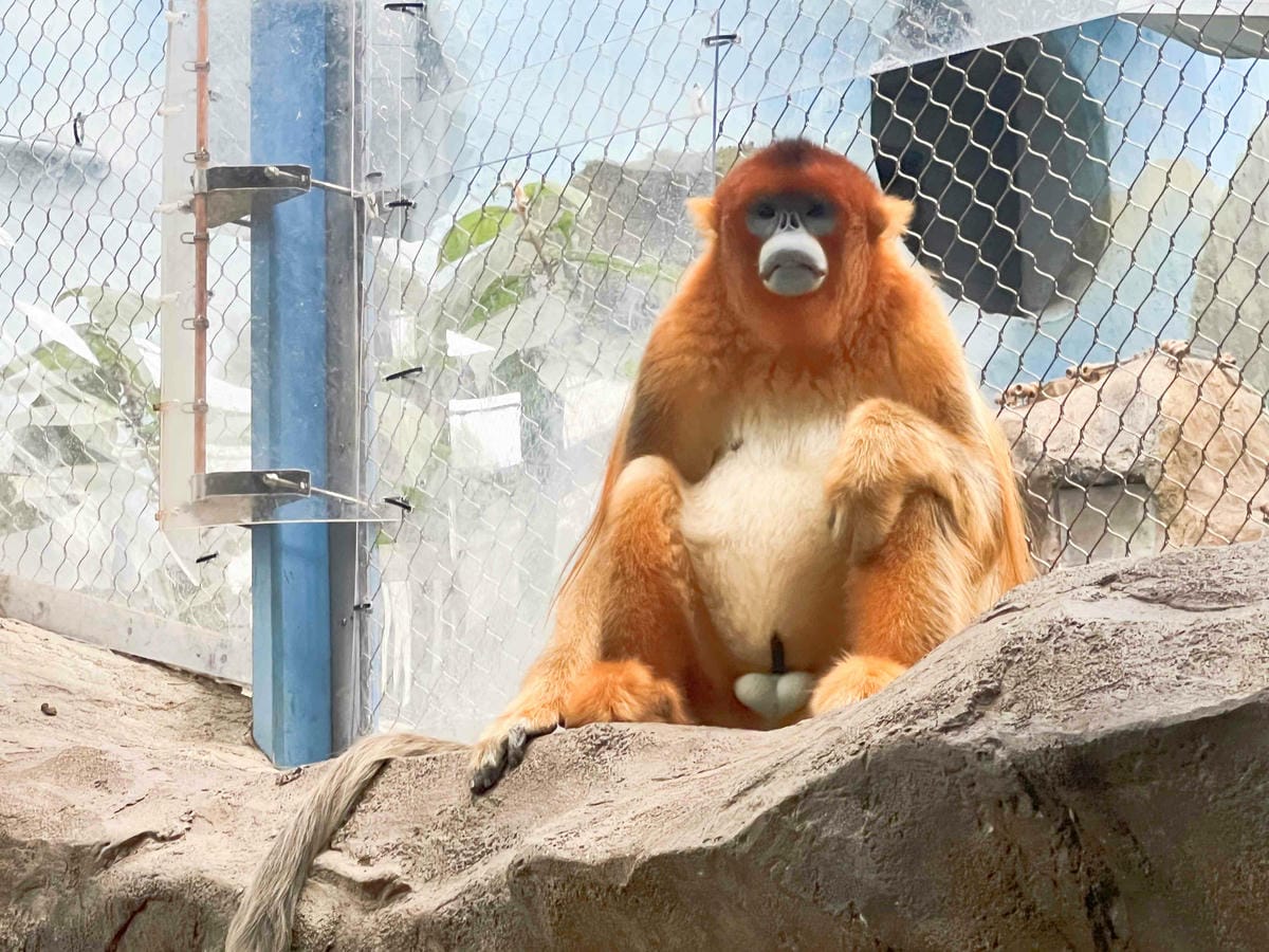 香港海洋公園 (67).jpg 香港海洋公園 (67).jpg