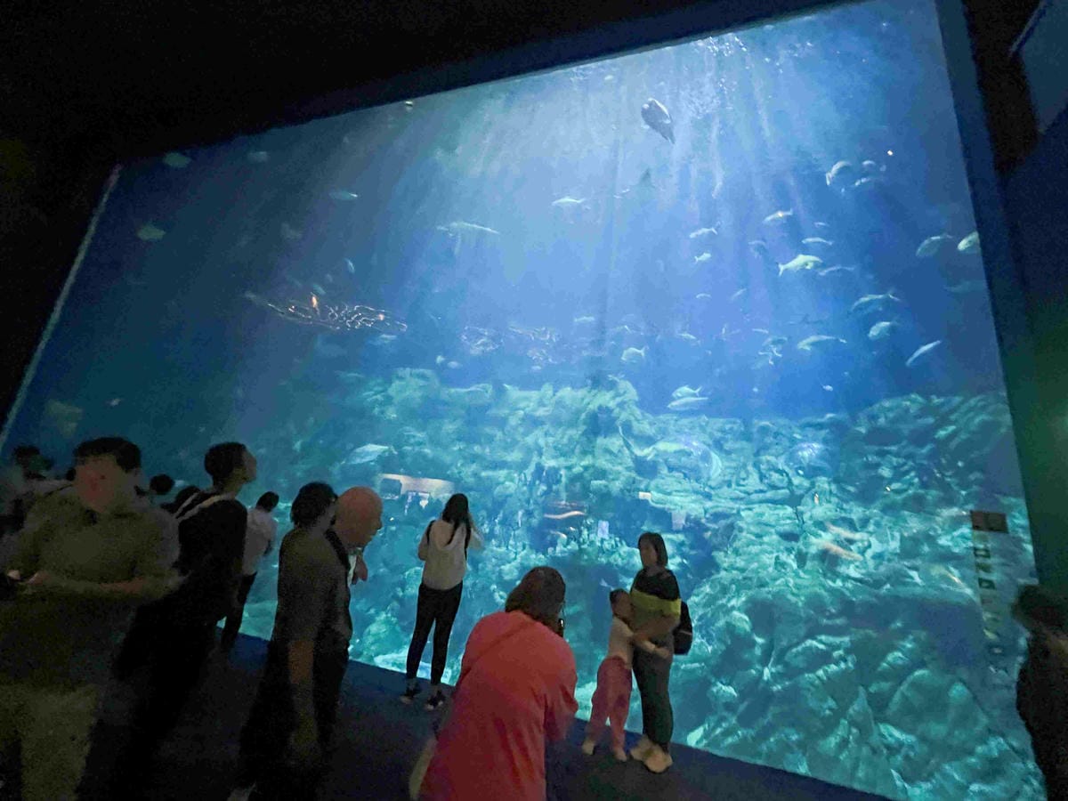 香港海洋公園 (56).jpg 香港海洋公園 (56).jpg