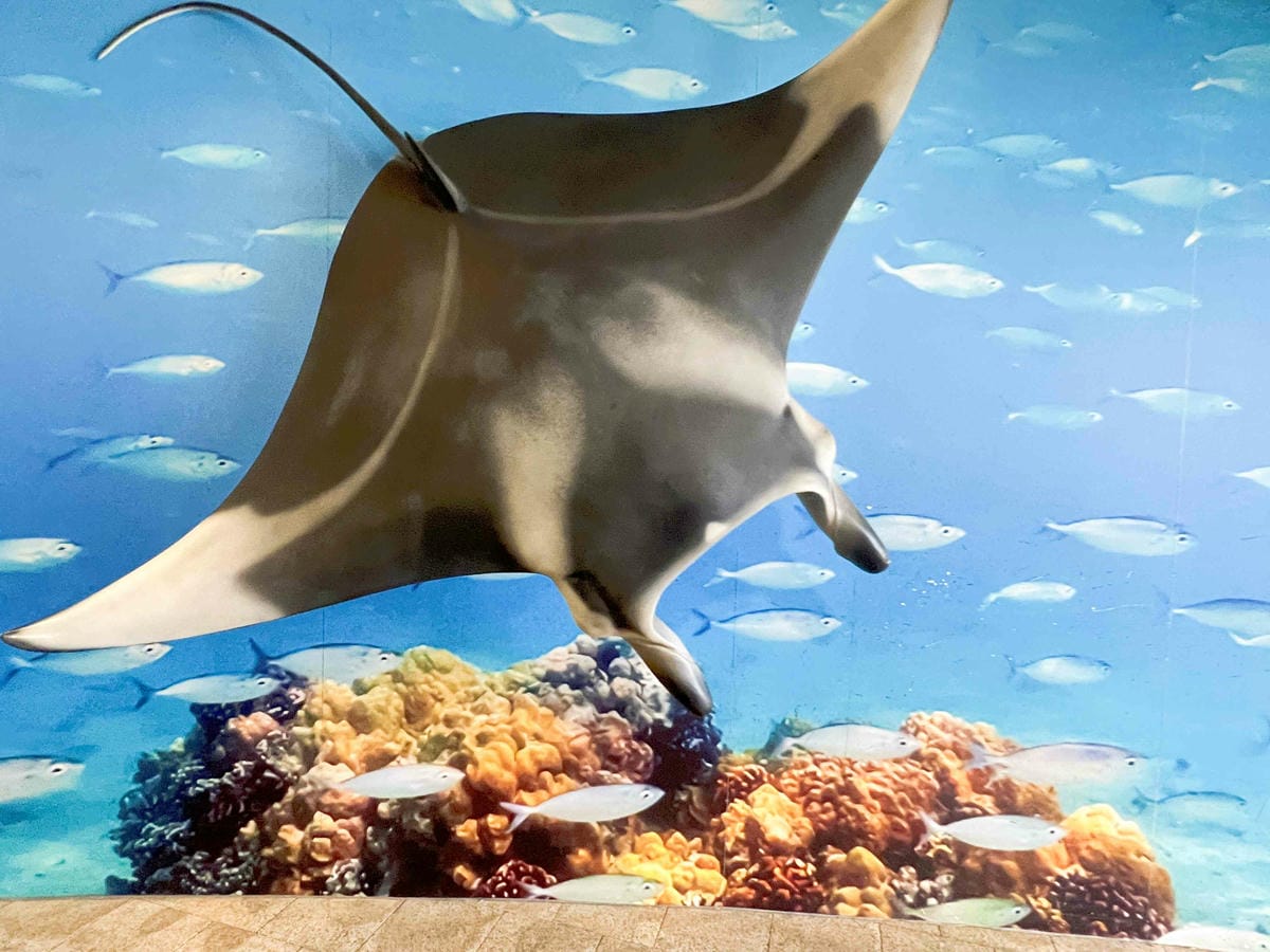 香港海洋公園 (14).jpg 香港海洋公園 (14).jpg