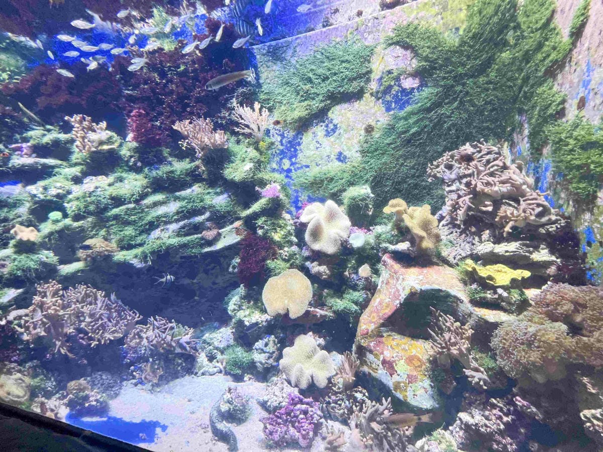 香港海洋公園 (25).jpg 香港海洋公園 (25).jpg