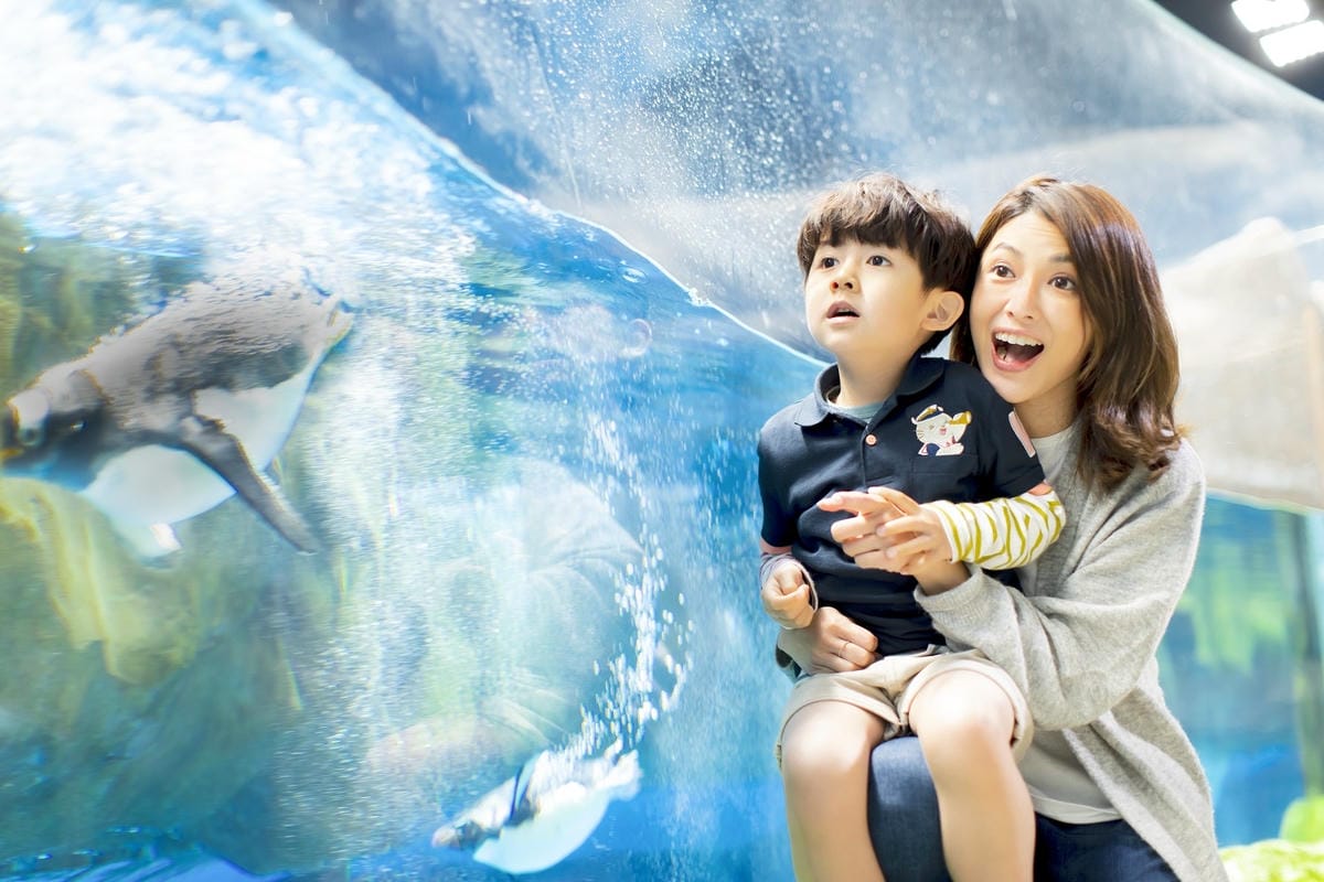 香港海洋公園 (13).jpg 香港海洋公園 (13).jpg