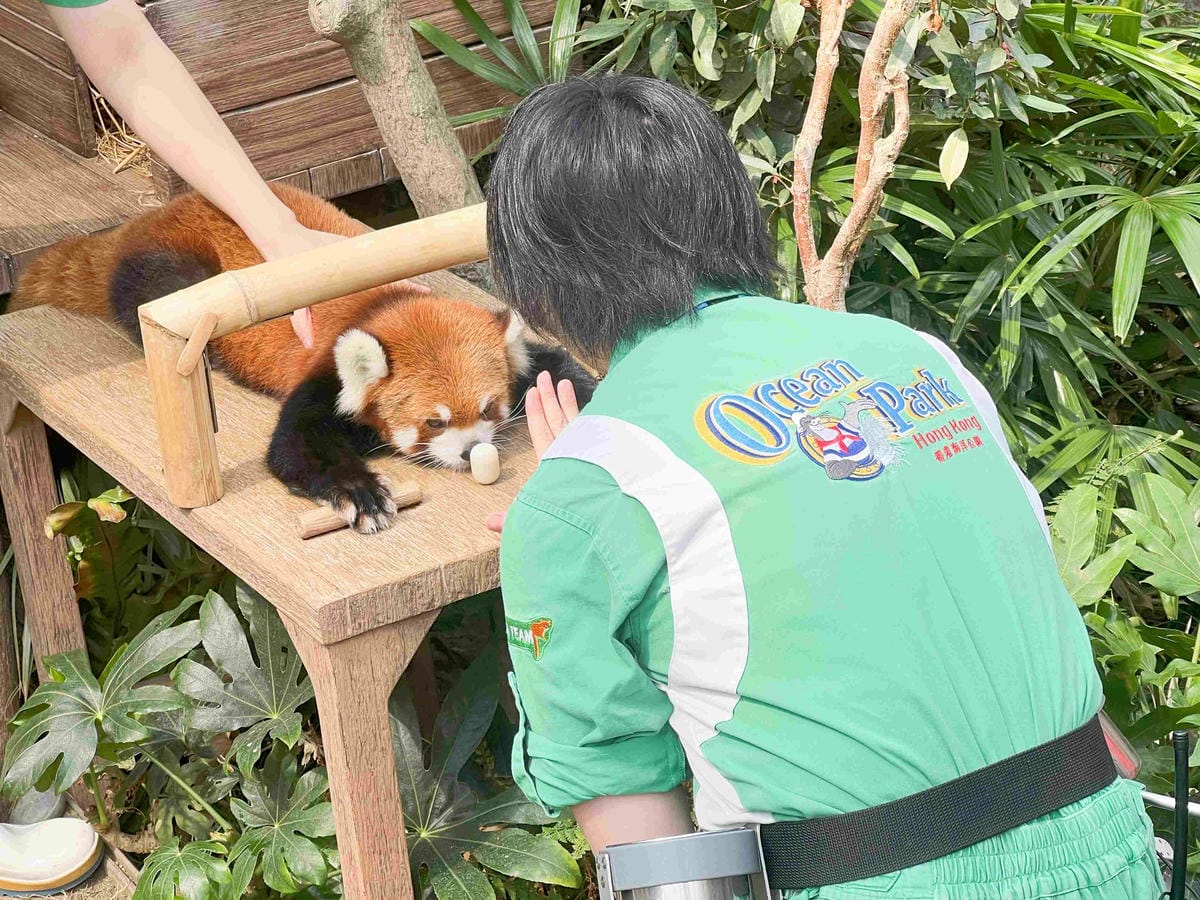 香港海洋公園 (84).jpg 香港海洋公園 (84).jpg