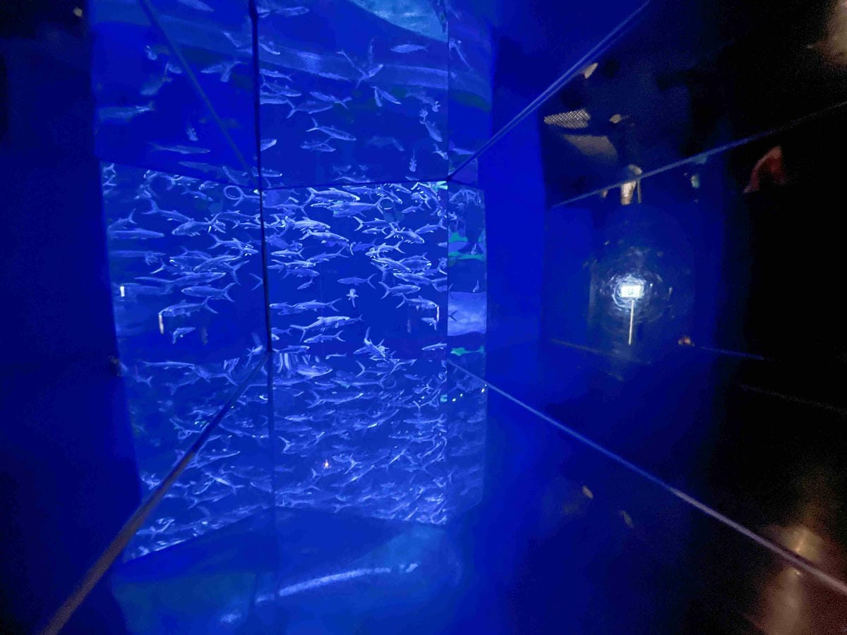 香港海洋公園 (45).jpg 香港海洋公園 (45).jpg