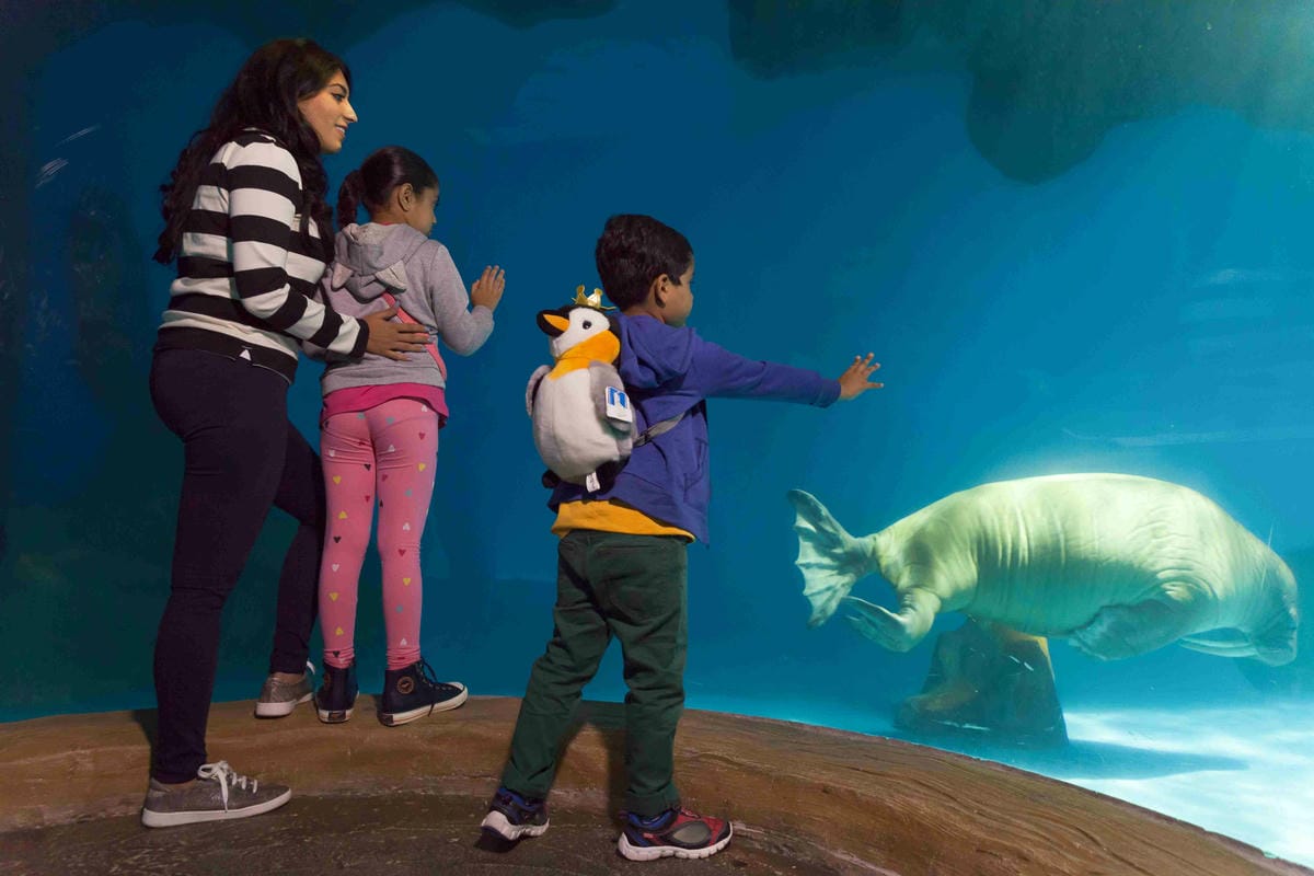 香港海洋公園 (3).jpg 香港海洋公園 (3).jpg