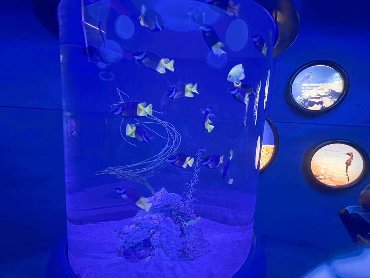 香港海洋公園 (38).jpg 香港海洋公園 (38).jpg