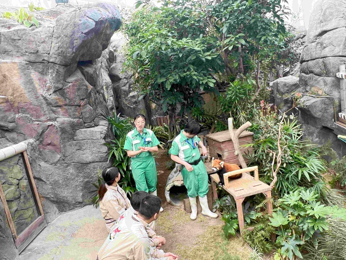 香港海洋公園 (80).jpg 香港海洋公園 (80).jpg