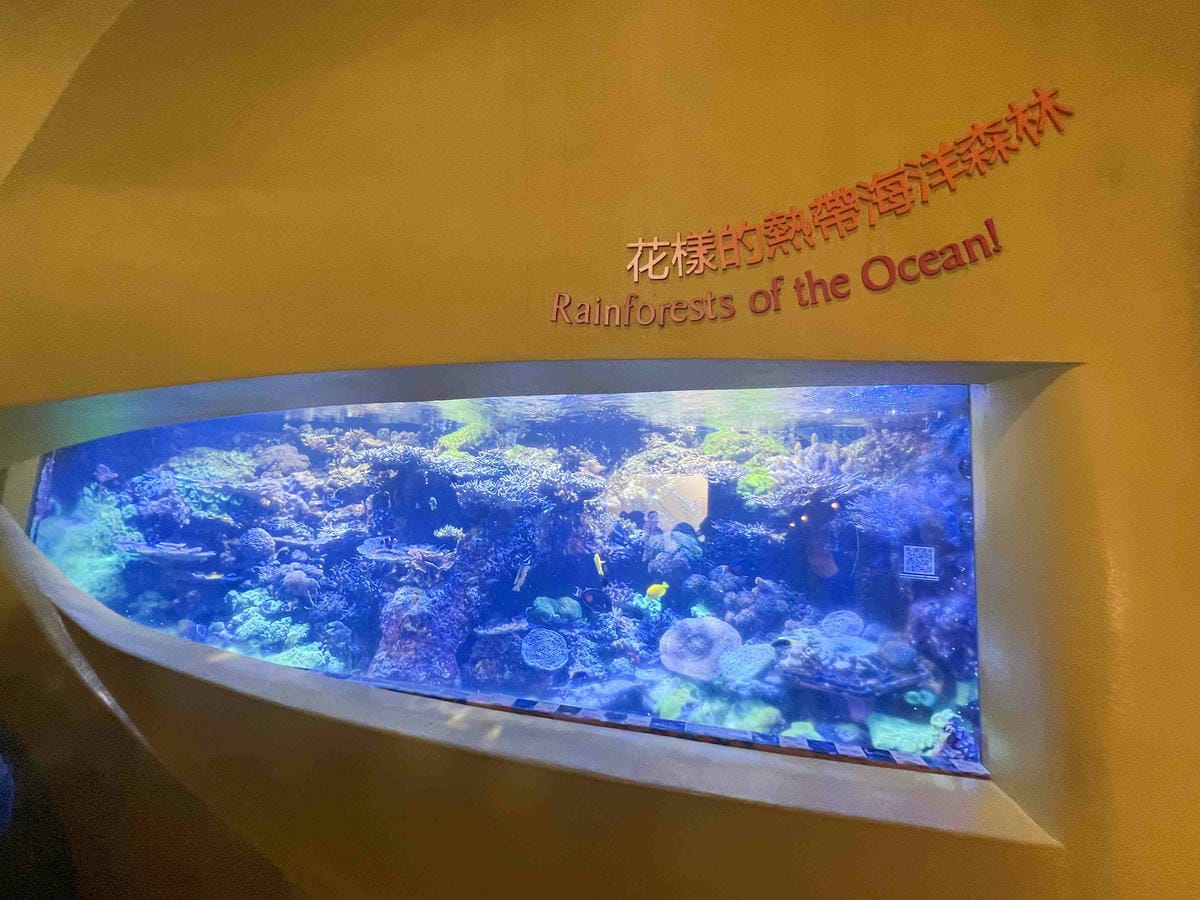 香港海洋公園 (17).jpg 香港海洋公園 (17).jpg