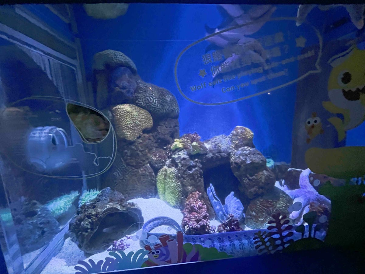 香港海洋公園 (29).jpg 香港海洋公園 (29).jpg