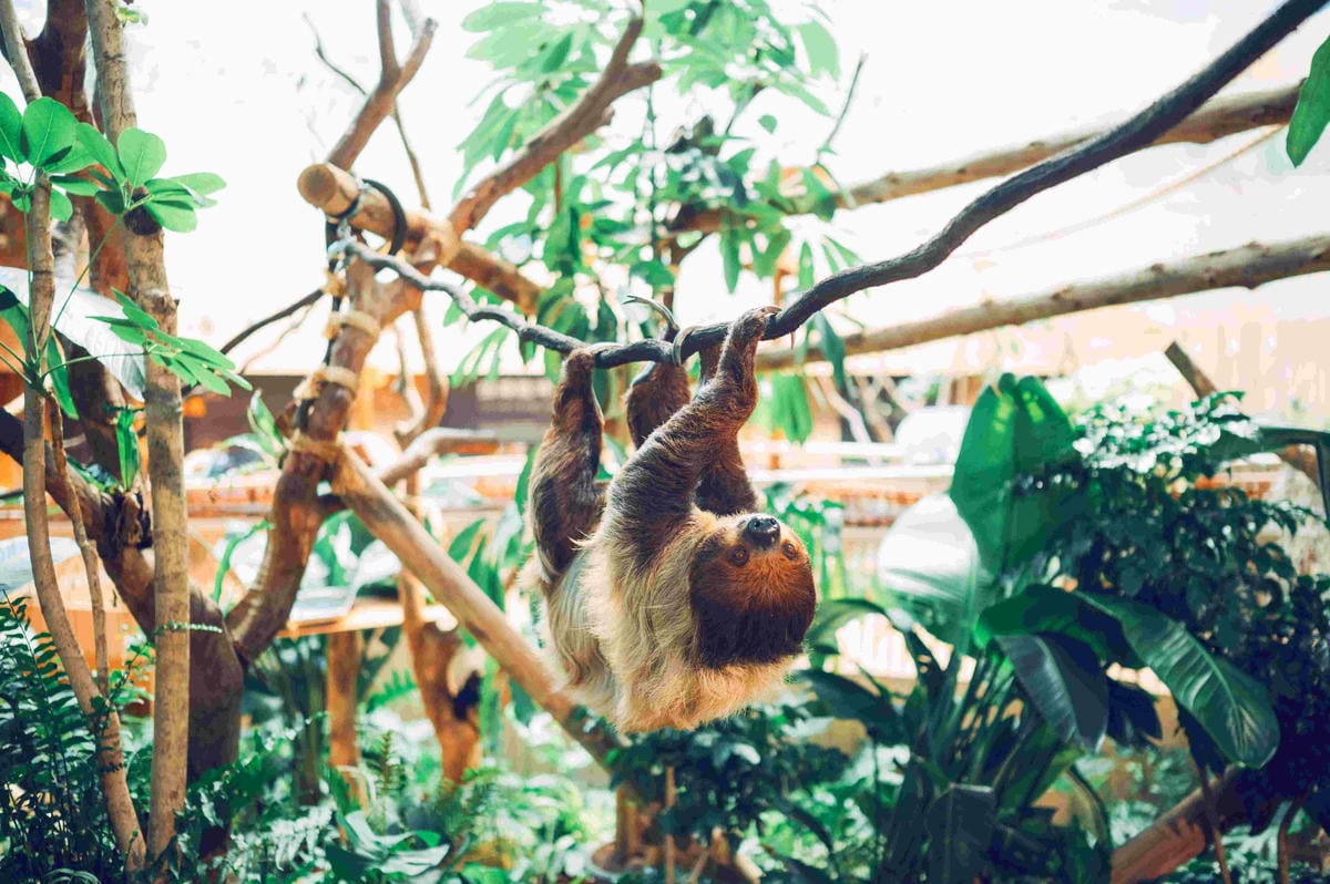 香港海洋公園 (19).jpg 香港海洋公園 (19).jpg