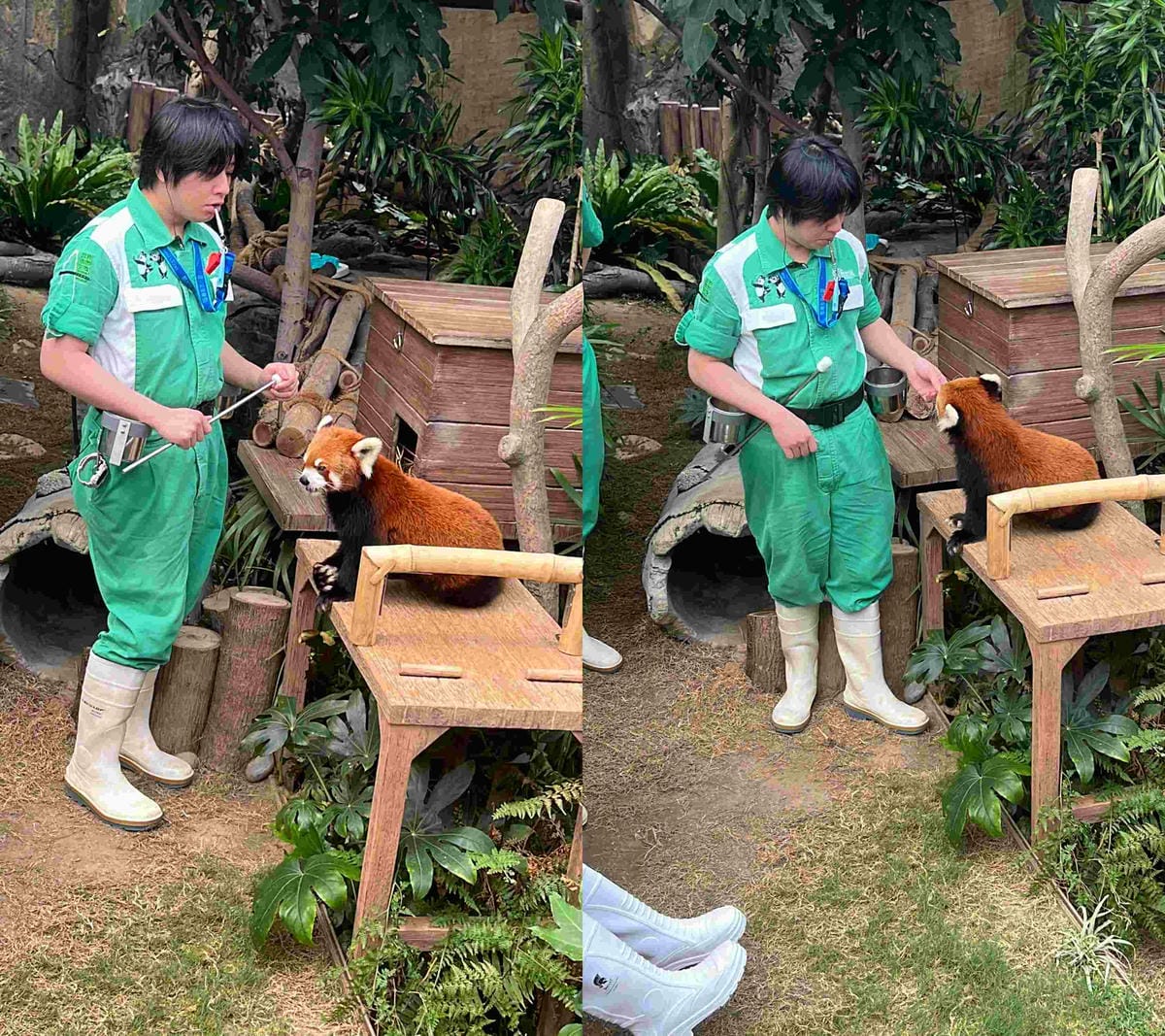 香港海洋公園 (81).jpg 香港海洋公園 (81).jpg