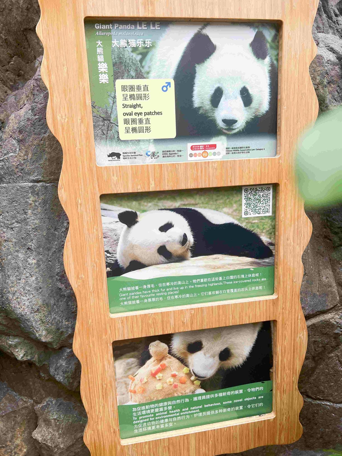 香港海洋公園 (77).jpg 香港海洋公園 (77).jpg