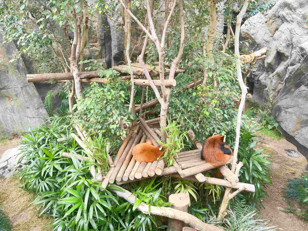 香港海洋公園 (79).jpg 香港海洋公園 (79).jpg