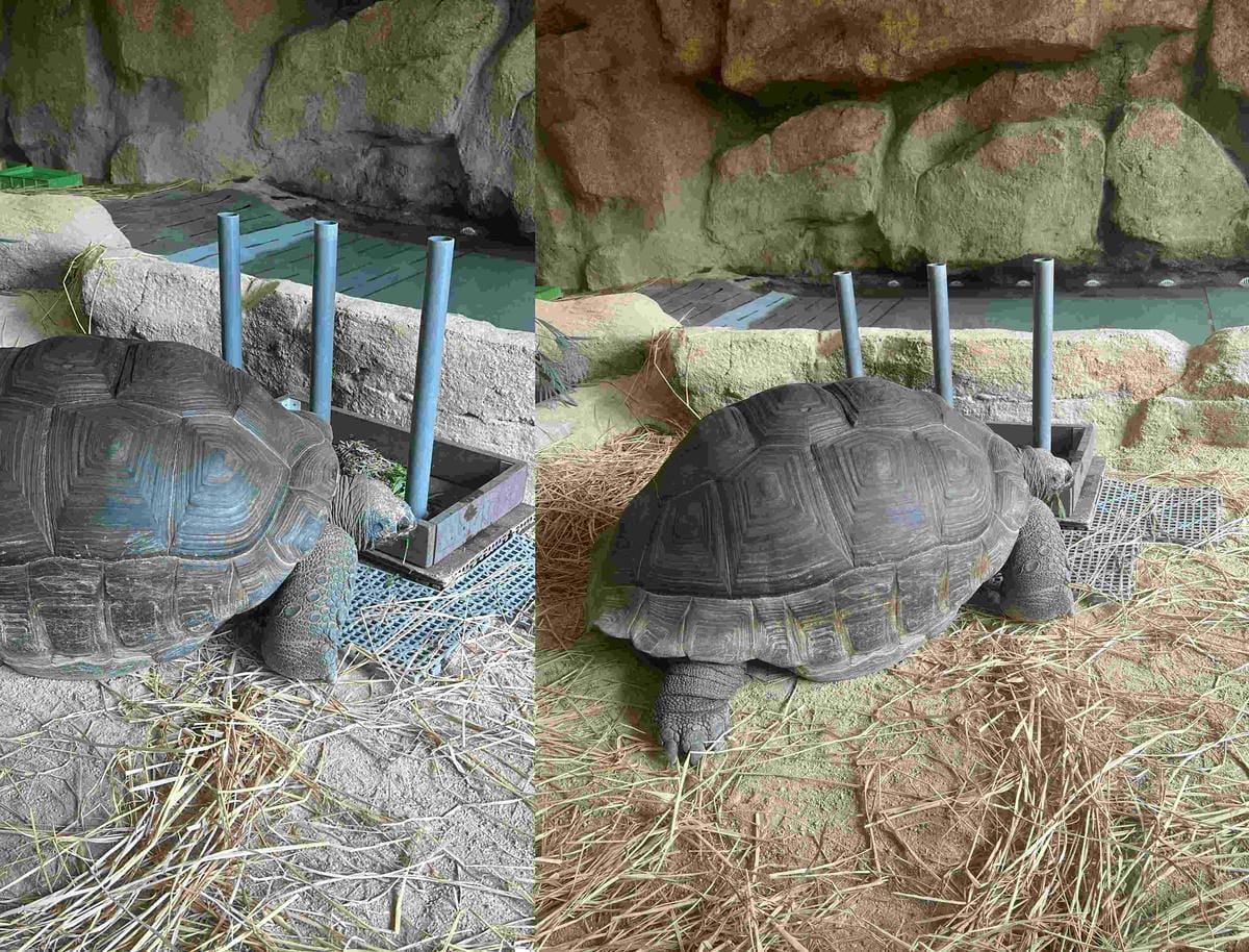 香港海洋公園 (111).jpg 香港海洋公園 (111).jpg