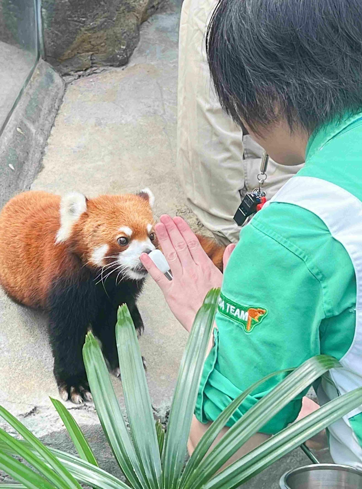 香港海洋公園 (88).jpg 香港海洋公園 (88).jpg