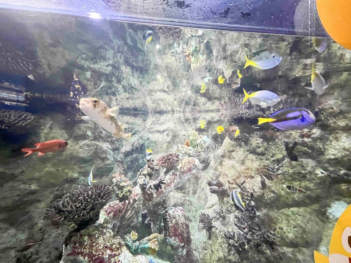 香港海洋公園 (20).jpg 香港海洋公園 (20).jpg