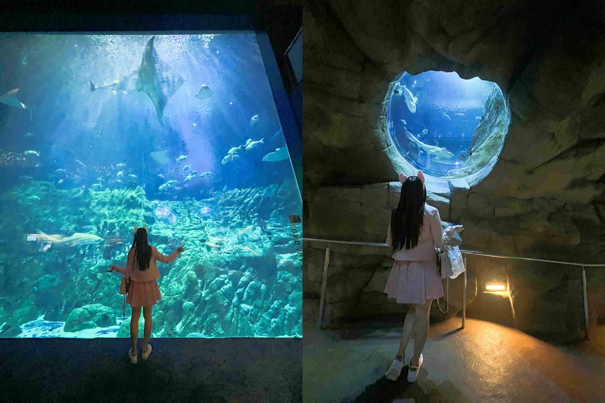 香港海洋公園 (53).jpg 香港海洋公園 (53).jpg