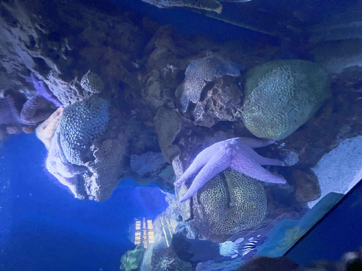 香港海洋公園 (30).jpg 香港海洋公園 (30).jpg