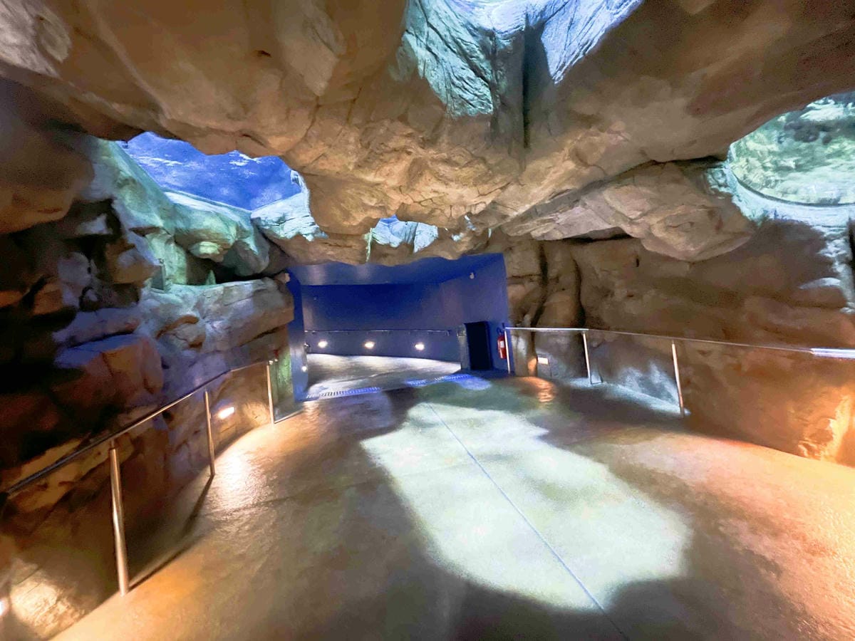 香港海洋公園 (50).jpg 香港海洋公園 (50).jpg