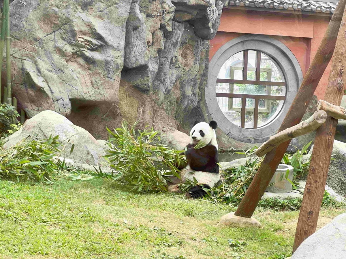 香港海洋公園 (86).jpg 香港海洋公園 (86).jpg