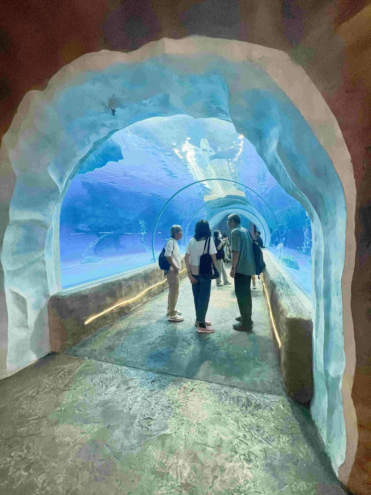 香港海洋公園 (185).jpg 香港海洋公園 (185).jpg