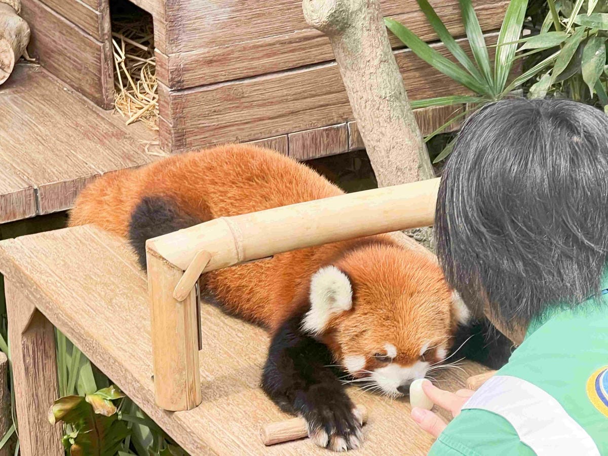 香港海洋公園 (83).jpg 香港海洋公園 (83).jpg