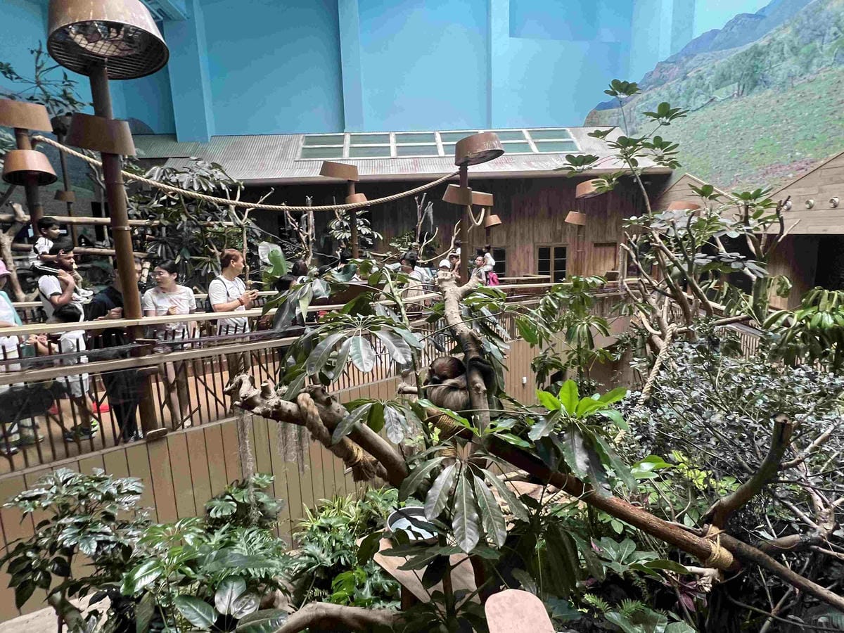 香港海洋公園 (134).jpg 香港海洋公園 (134).jpg