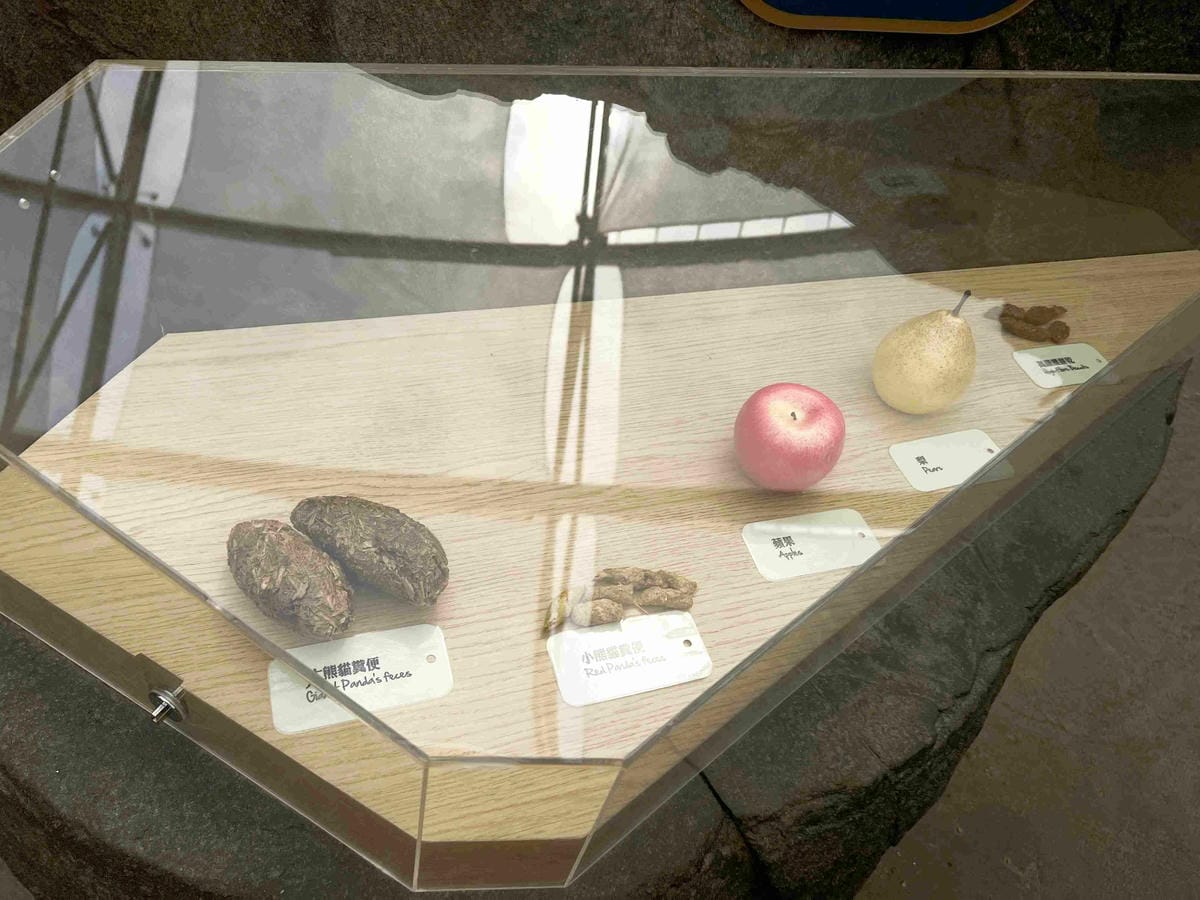 香港海洋公園 (87).jpg 香港海洋公園 (87).jpg