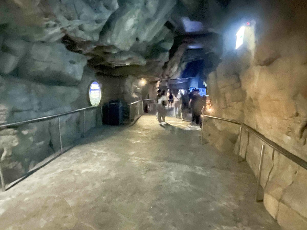 香港海洋公園 (28).jpg 香港海洋公園 (28).jpg