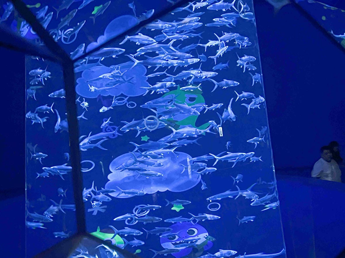 香港海洋公園 (43).jpg 香港海洋公園 (43).jpg