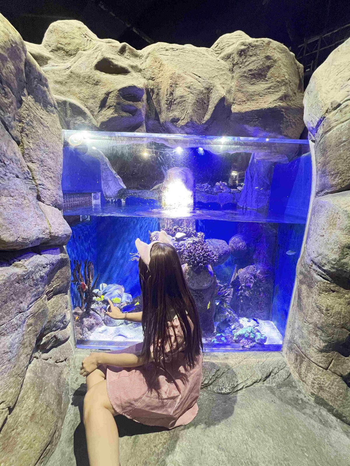 香港海洋公園 (22).jpg 香港海洋公園 (22).jpg