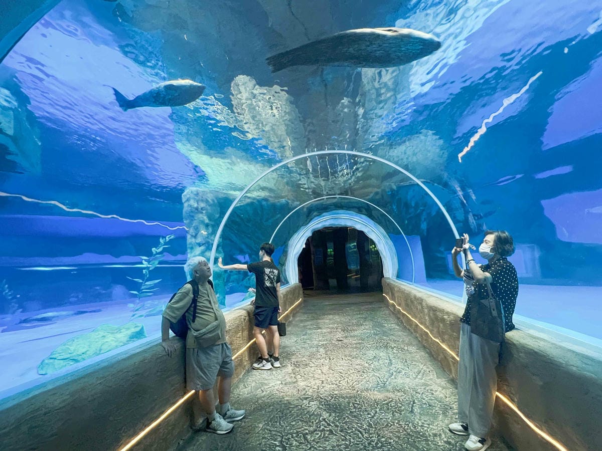 香港海洋公園 (184).jpg 香港海洋公園 (184).jpg