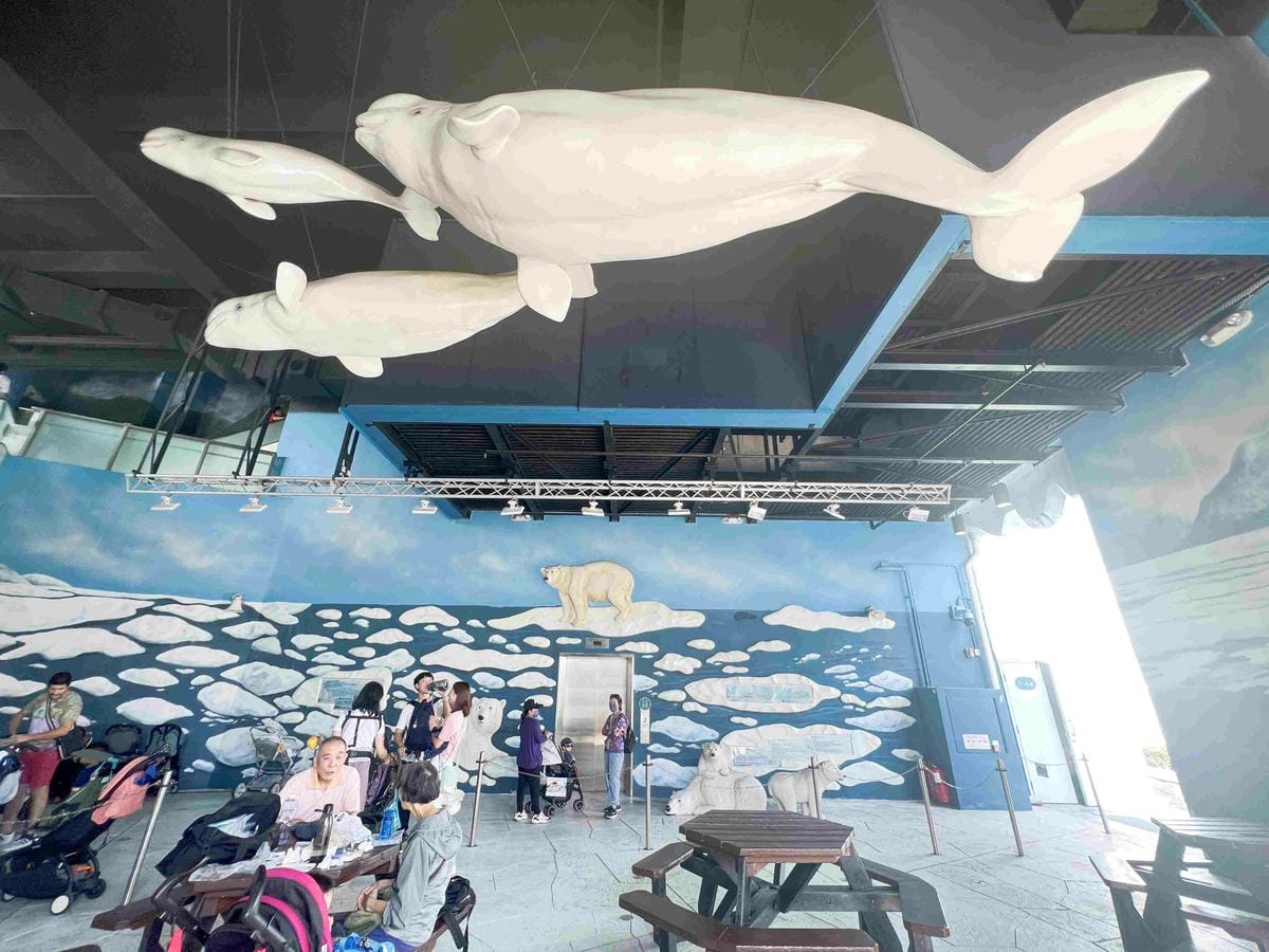 香港海洋公園 (169).jpg 香港海洋公園 (169).jpg