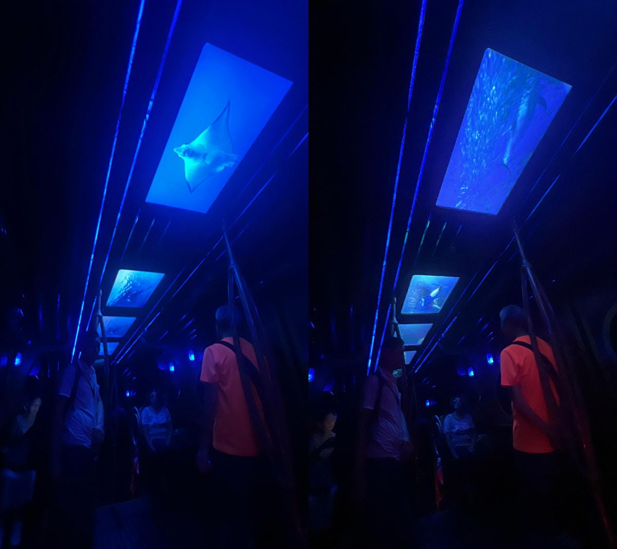 香港海洋公園 (182).jpg 香港海洋公園 (182).jpg