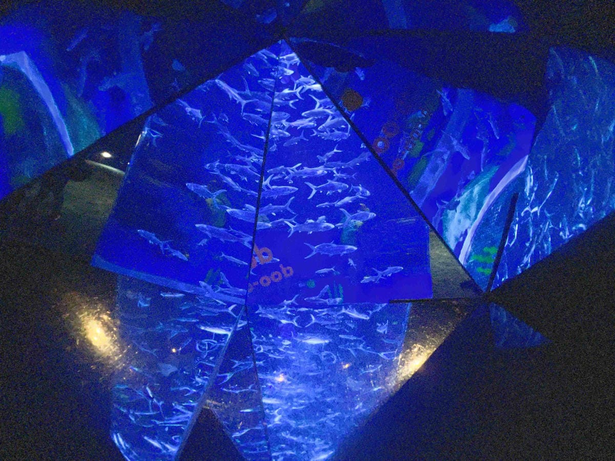 香港海洋公園 (46).jpg 香港海洋公園 (46).jpg