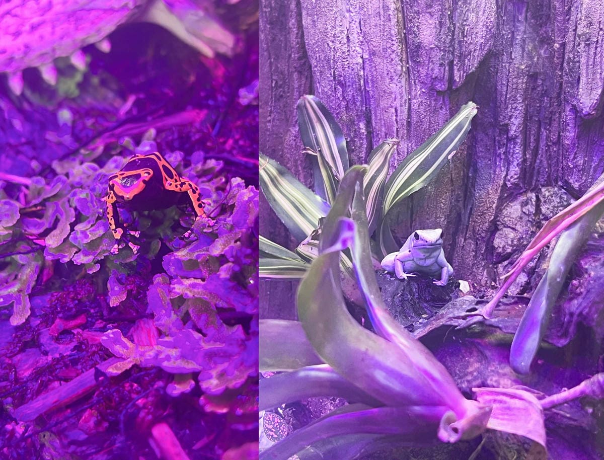 香港海洋公園 (164).jpg 香港海洋公園 (164).jpg