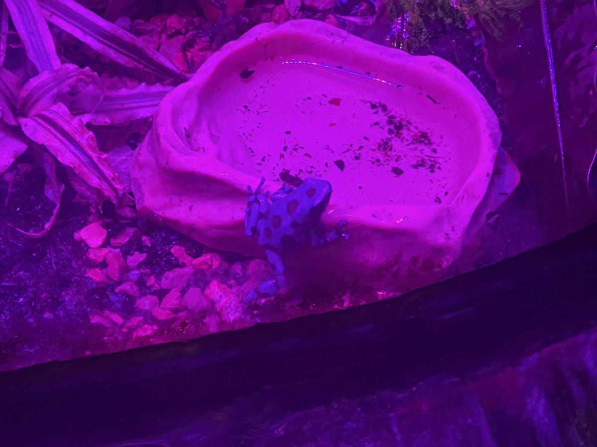 香港海洋公園 (165).jpg 香港海洋公園 (165).jpg