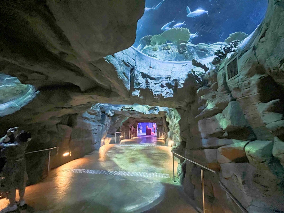 香港海洋公園 (49).jpg 香港海洋公園 (49).jpg