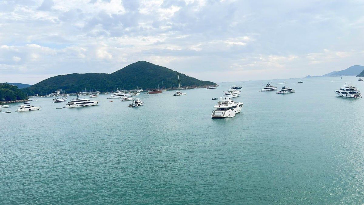 BIG BUS (39).jpg BIG BUS (39).jpg