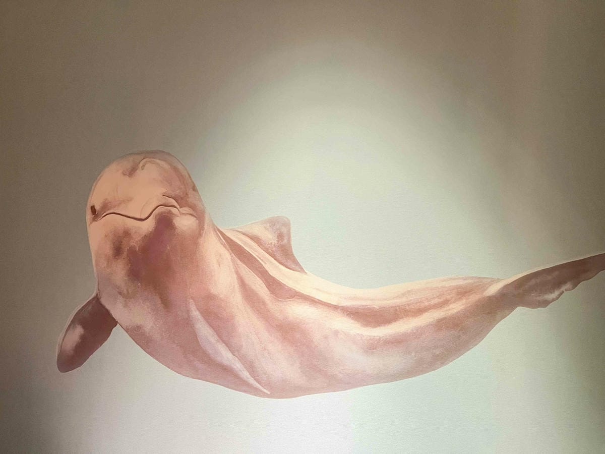 香港萬豪酒店PierLounge荔枝紅桑子蛋糕 (46).jpg 香港萬豪酒店PierLounge荔枝紅桑子蛋糕 (46).jpg