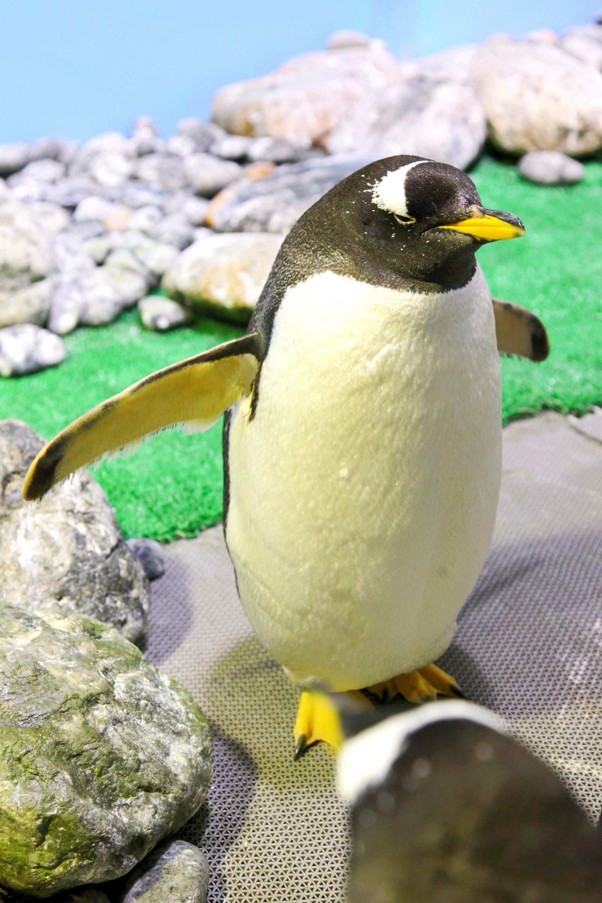 香港海洋公園 (5).jpg 香港海洋公園 (5).jpg