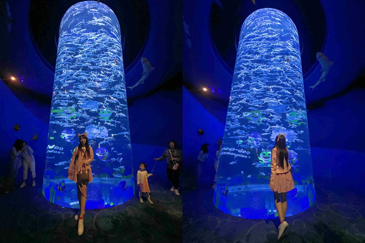 香港海洋公園 (48).jpg 香港海洋公園 (48).jpg