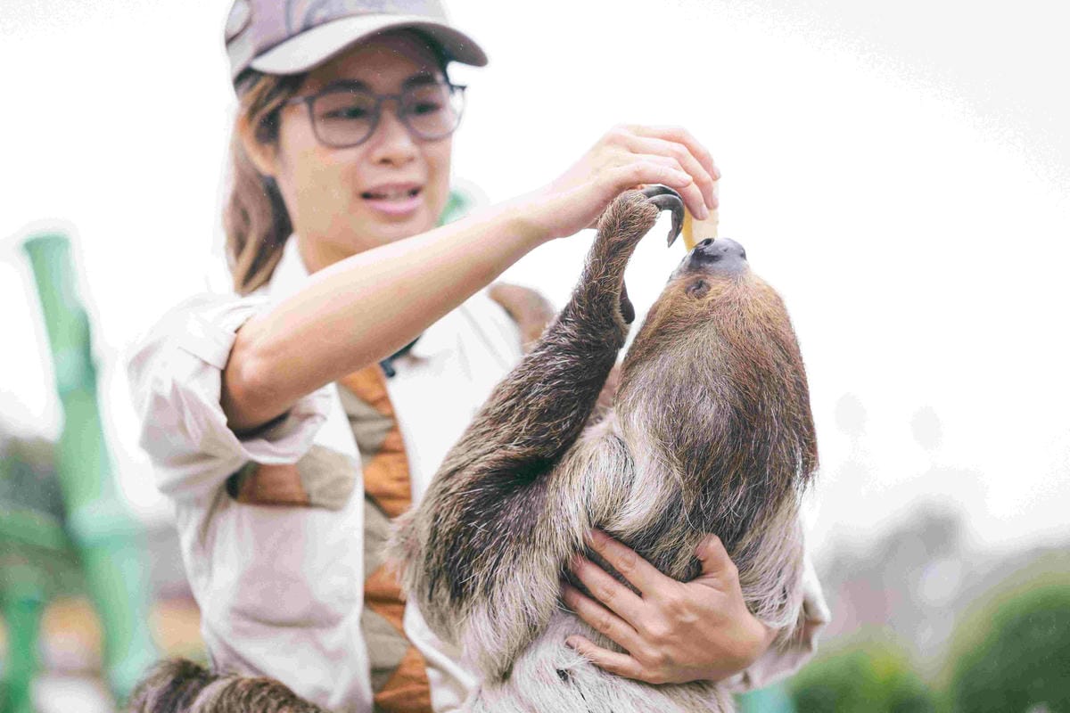 香港海洋公園 (11).jpg 香港海洋公園 (11).jpg