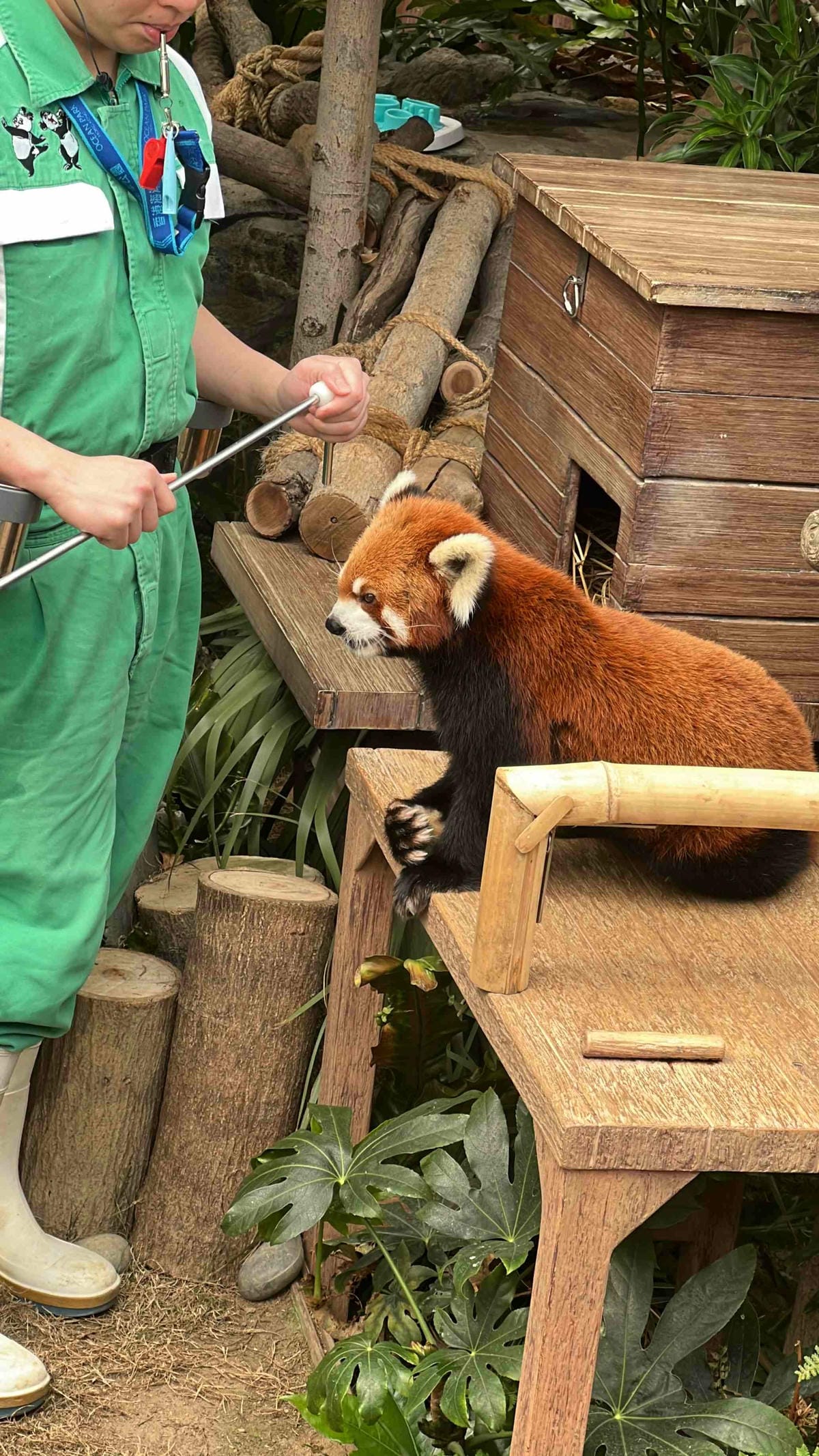 WORLD KING-中港澳 ESIM (46).jpg WORLD KING-中港澳 ESIM (46).jpg