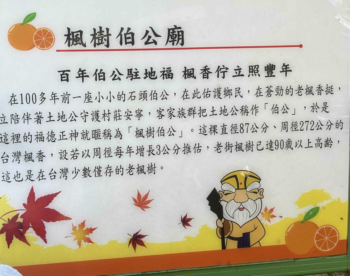 苗栗景點推薦獅潭仙草、後角烘培手作、幸福鐘樓、鐘樓古道、有機書店、獅生活減塑概念館、新店仙草、蜂蜜屋、獅潭教會、楓樹伯公廟、豬皮伯公廟、神秘小徑 (146).jpg 苗栗景點推薦獅潭仙草、後角烘培手作、幸福鐘樓、鐘樓古道、有機書店、獅生活減塑概念館、新店仙草、蜂蜜屋、獅潭教會、楓樹伯公廟、豬皮伯公廟、神秘小徑 (146).jpg