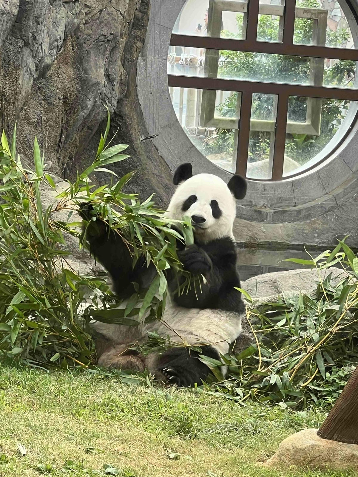 WORLD KING-中港澳 ESIM (47).jpg WORLD KING-中港澳 ESIM (47).jpg