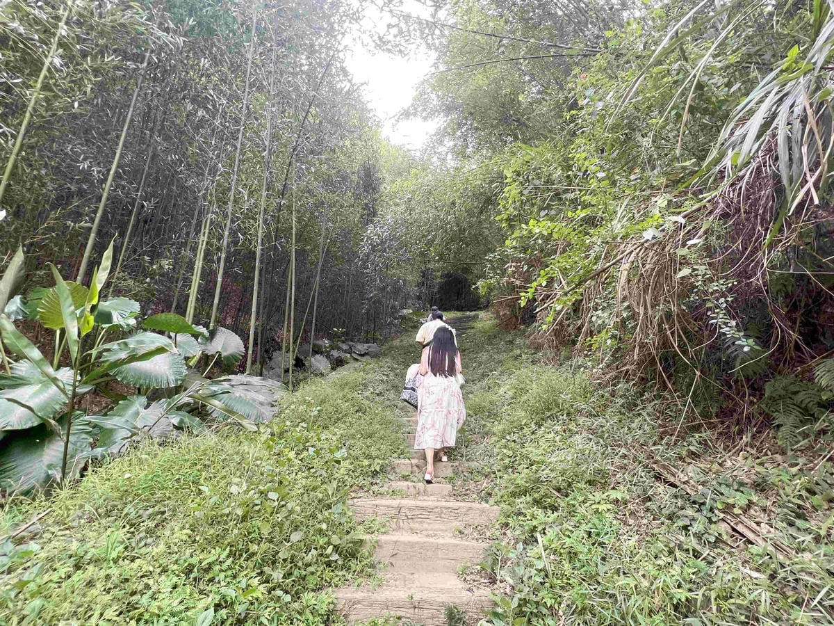 苗栗景點推薦獅潭仙草、後角烘培手作、幸福鐘樓、鐘樓古道、有機書店、獅生活減塑概念館、新店仙草、蜂蜜屋、獅潭教會、楓樹伯公廟、豬皮伯公廟、神秘小徑 (61).jpg 苗栗景點推薦獅潭仙草、後角烘培手作、幸福鐘樓、鐘樓古道、有機書店、獅生活減塑概念館、新店仙草、蜂蜜屋、獅潭教會、楓樹伯公廟、豬皮伯公廟、神秘小徑 (61).jpg