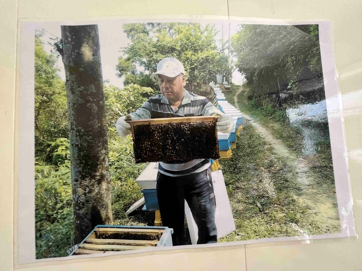 苗栗景點推薦獅潭仙草、後角烘培手作、幸福鐘樓、鐘樓古道、有機書店、獅生活減塑概念館、新店仙草、蜂蜜屋、獅潭教會、楓樹伯公廟、豬皮伯公廟、神秘小徑 (91).jpg 苗栗景點推薦獅潭仙草、後角烘培手作、幸福鐘樓、鐘樓古道、有機書店、獅生活減塑概念館、新店仙草、蜂蜜屋、獅潭教會、楓樹伯公廟、豬皮伯公廟、神秘小徑 (91).jpg