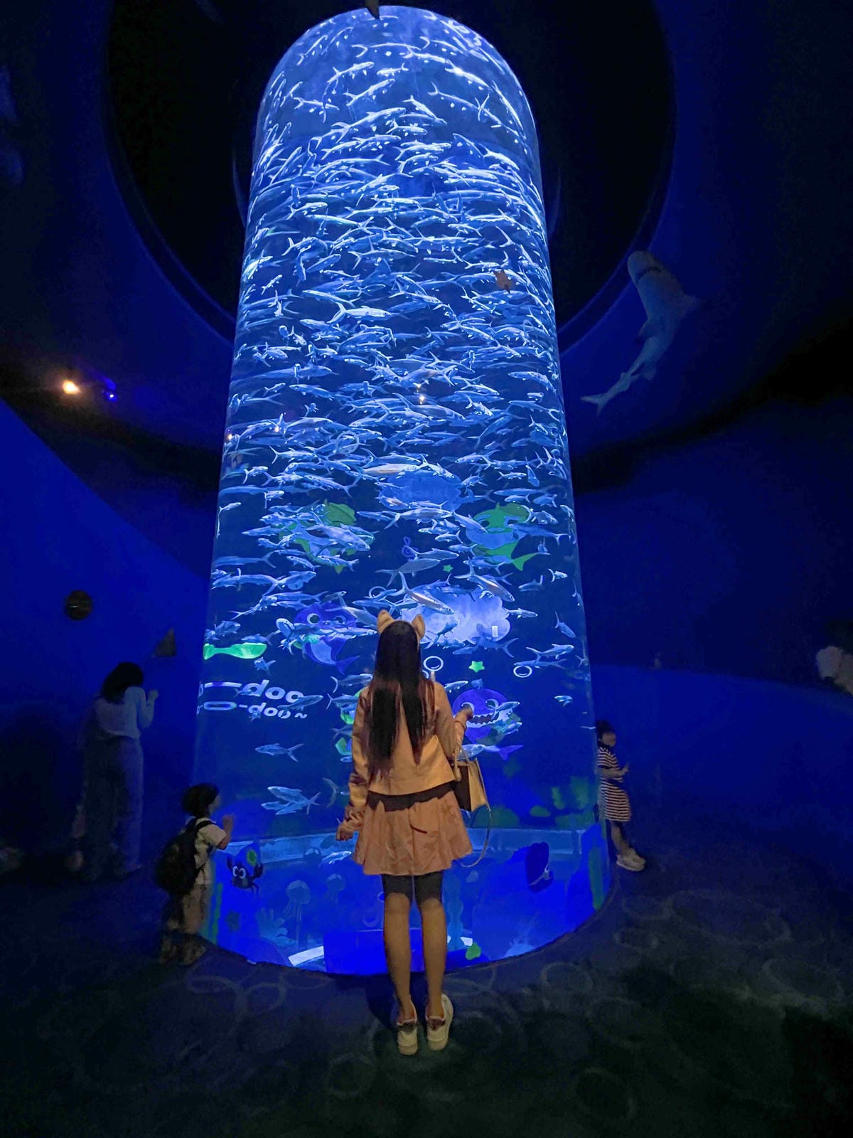 WORLD KING-中港澳 ESIM (43).jpg WORLD KING-中港澳 ESIM (43).jpg